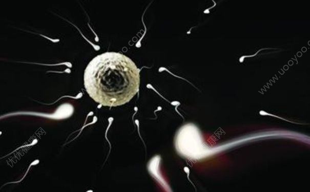精子成活率检查多久出结果？精子成活率几天出结果？(1)