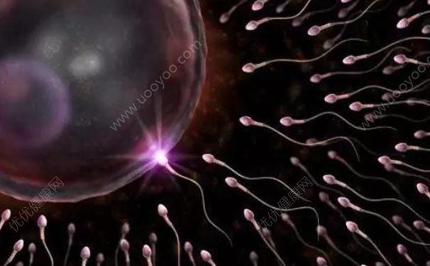 精子成活率低如何治疗？精子成活率低怎么提高？(1)