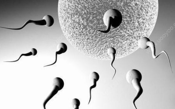 精子成活率20%能受孕吗？精子成活率多少不影响受孕？(1)