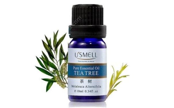 狄香茶树精油怎么样？狄香茶树精油价格(1)