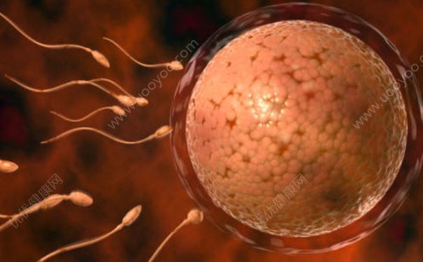 精子成活率影响怀孕吗？精子成活率会不会影响受孕？(1)