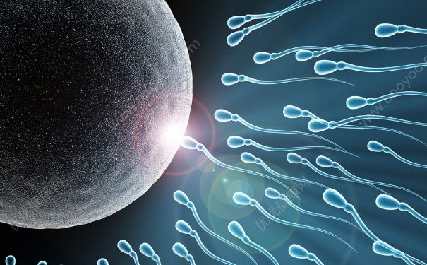 精子成活率什么时候查？精子成活率什么时间检测好？(1)