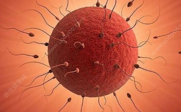 什么时间精子成活率高？什么样的精子成活率高？(1)
