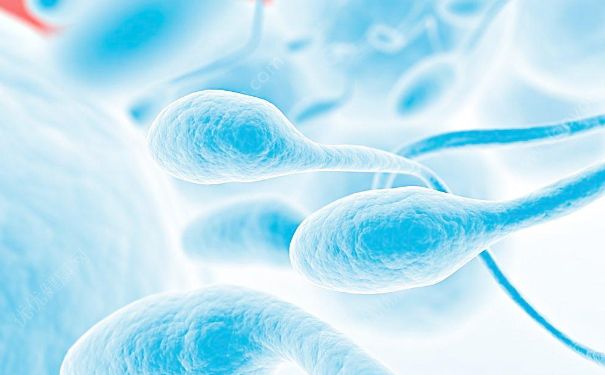 精子成活率百分之十能生育吗？精子成活率10%低不低？(1)