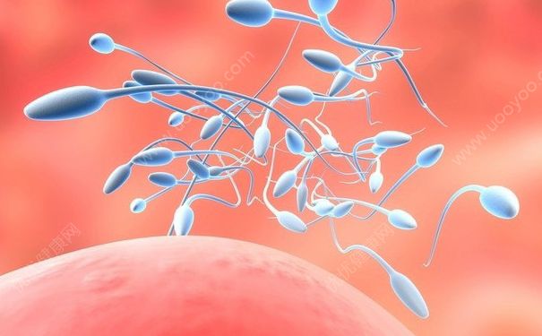 精子成活率百分之三十能受孕吗？精子成活率30%能怀孕吗？(1)