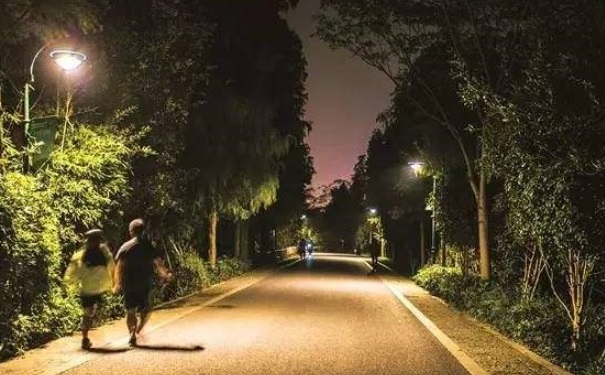 如何夜跑减肥？夜跑减肥的正确方式是什么？(1)