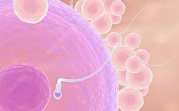 精子成活率百分之五十能不能受孕？精子成活率50%合格吗？(1)