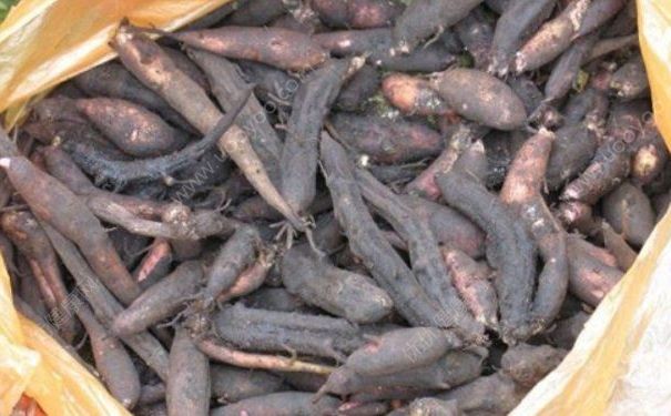14人煮食草乌炖肉中毒，草乌中毒怎么解？(4)