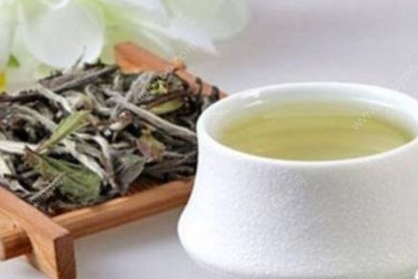 白茶怎么冲泡？冲泡白茶的步骤有哪些？(1)