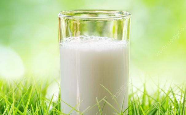 黑豆豆浆的做法有哪些？黑豆豆