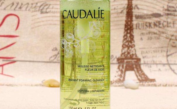 欧缇丽葡萄洁颜摩丝好用吗？欧缇丽葡萄洁颜摩丝价格(1)