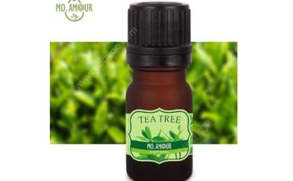 美沫艾莫尔茶树精油好用吗？美沫艾莫尔茶树精油价格(1)