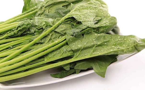 低血压能吃菠菜吗？低血压不能