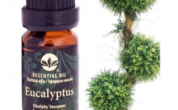 施丹兰尤加利精油好用吗？施丹兰尤加利精油价格(1)