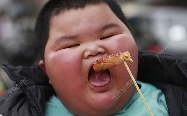 太胖吃什么食物好？怎样调整饮食才不会发胖？(1)