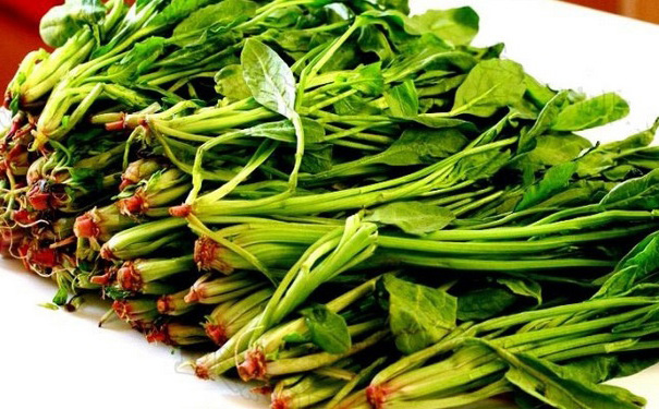 菠菜面糊怎么做？菠菜面糊的做法是怎样的？(1)