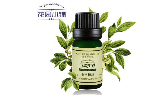 茶树精油有什么功效作用？茶树精油的使用方法(1)