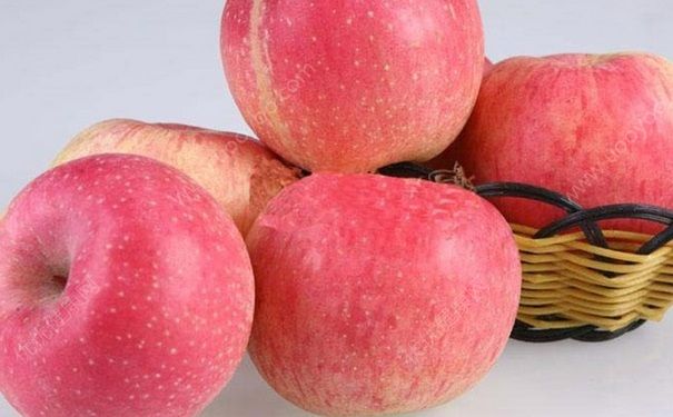 日常减肥食物有哪些？哪些食物低脂而且美味？[图]