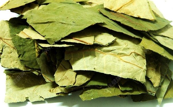 荷叶减肥法瘦身原理是什么？中医荷叶减肥法是什么？(1)