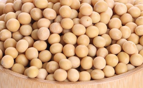 吃哪些食品利于乳房发育呢？健康绿色丰胸食物有哪些？(1)