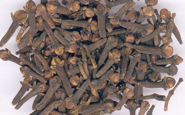 丁香花有哪些药用价值？丁香花可以补肾壮阳？(1)