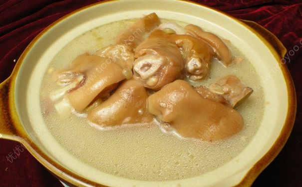 猪蹄丰胸食谱怎么做？猪蹄丰胸怎么吃效果好？(1)