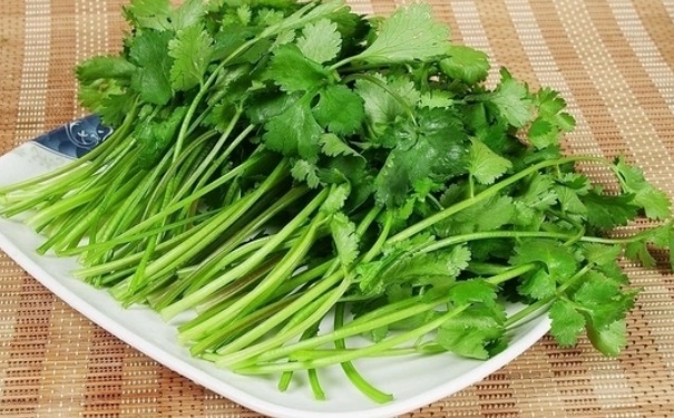 孕妇吃香菜有好处吗？孕妇可以吃香菜吗？(1)