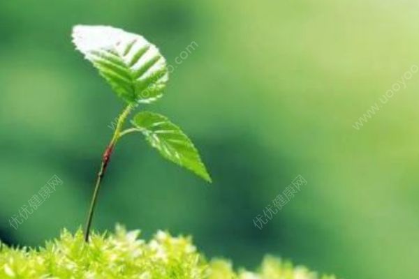 春季天气渐暖！要注意躲过这四种“开春病”！(1)