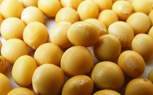 乳房发育需要哪些营养元素？哪些食物富含胸部所需营养？(1)