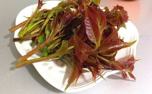 女性应该多吃哪些难闻的食物？哪些食物女性吃了好？(1)