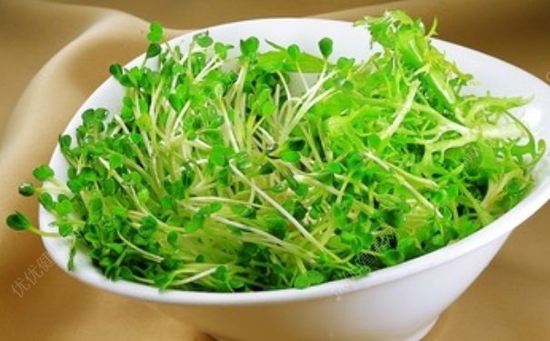 立春的饮食有哪些注意事项？立春饮食吃什么蔬菜好？(1)