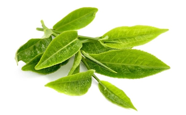 茶叶可以美容护肤吗？茶叶美容