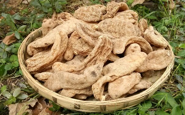 天麻小孩子可以吃吗？小孩吃天麻有什么好处？[图]