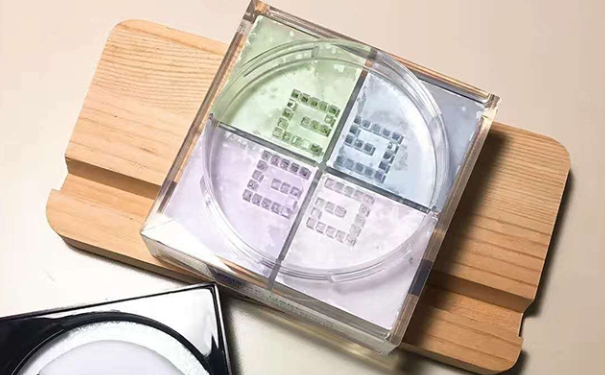 纪梵希四宫格散粉多少钱？纪梵希四宫格散粉专柜价格(1)