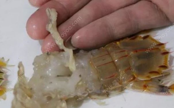 对虾体内有白色寄生虫，虾子里面长寄生虫是真的吗？(3)