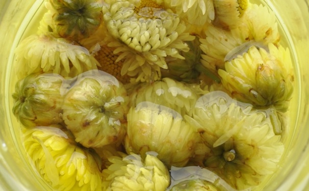 胎菊蜂蜜茶的做法是怎样的？胎菊蜂蜜茶怎么做？[图]