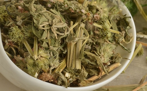 哺乳期可以吃益母草吗？益母草的功效作用有哪些？(1)