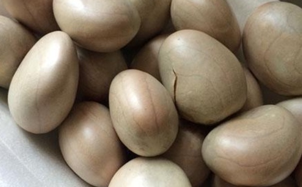 菠萝蜜的核煲汤的做法？菠萝蜜的核煲汤怎么做？(1)