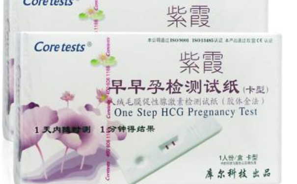 早早孕试纸哪个牌子准？什么牌子早孕试纸灵敏度高？(1)