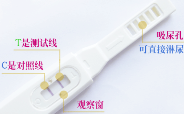 韵之安早早孕试纸准吗？韵之安