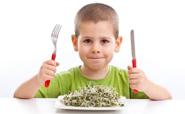 哪些食物幼儿不能多吃？孩子适合吃什么食物？(1)