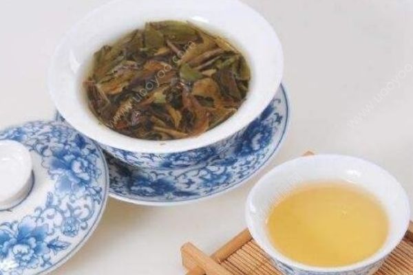 如何冲泡老白茶？老白茶的冲泡方法与技巧(1)