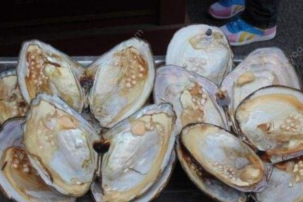 河蚌怎么洗干净？清洗河蚌的技巧有哪些？(1)