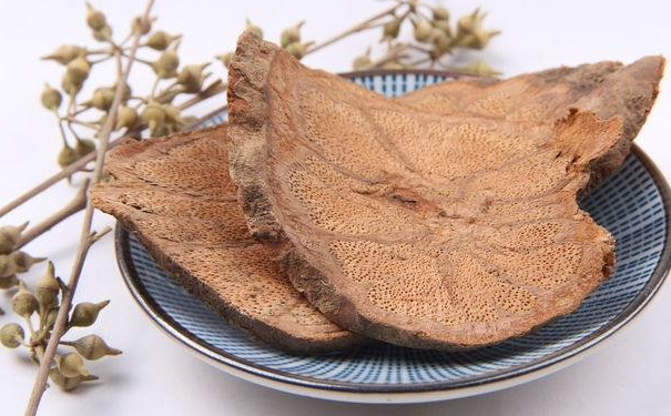 肉苁蓉怎么吃功效好？肉苁蓉的吃法是怎样的？(1)
