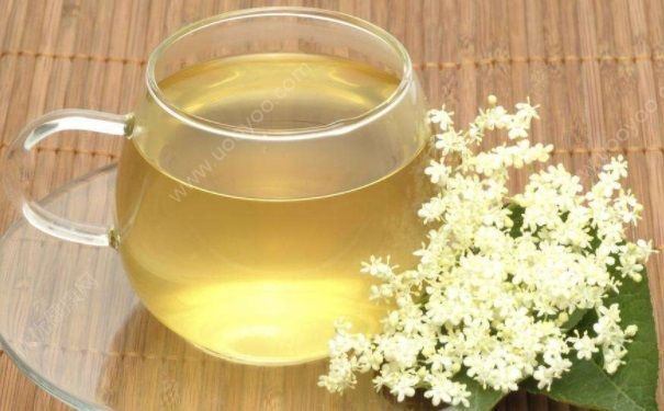 怎样自制减肥茶？哪些茶水可以帮助身体减脂(3)