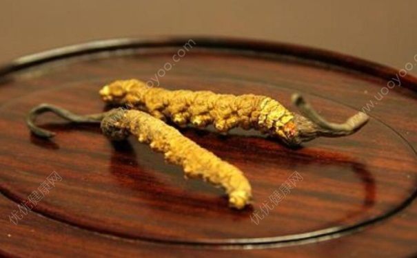 虫草是怎样形成的？虫草的生长原理是什么(1)