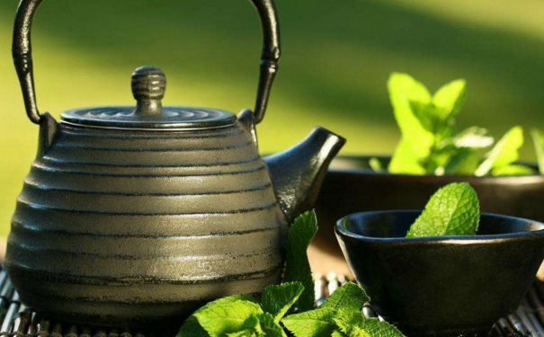 平时喝什么茶减肥最快？减肥最好喝什么茶？(1)