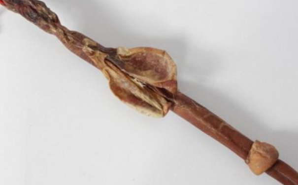 吃鞭真的能治肾虚阳痿吗？吃鞭治肾虚阳痿有效果吗？(1)