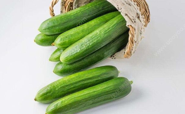 秋季吃什么菜好？秋季可以吃什么菜？(5)