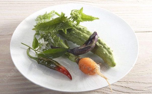 秋季吃什么菜好？秋季可以吃什么菜？[多图]